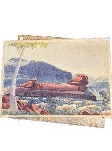 Lot 25