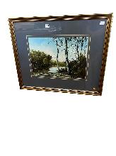 Lot 379