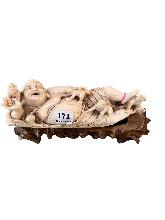 Lot 171
