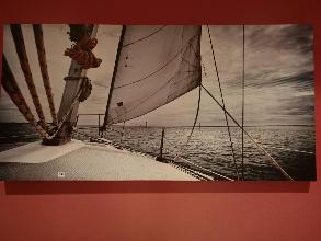 Lot 344
