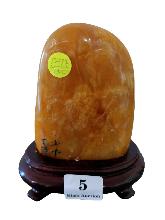 Lot 5