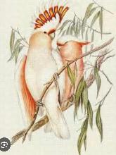 Lot 156