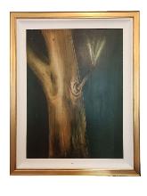 Lot 58
