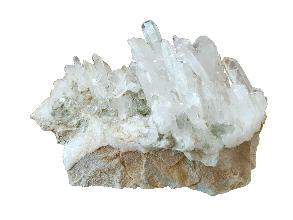Lot 7