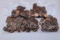 Lot 101