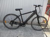 Lot 1912