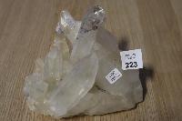 Lot 223