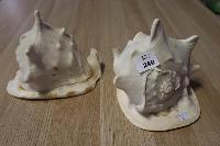 Lot 240