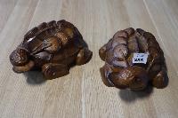 Lot 255