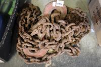Lot 1813