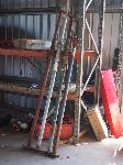 Lot 1901