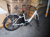 Lot 1764